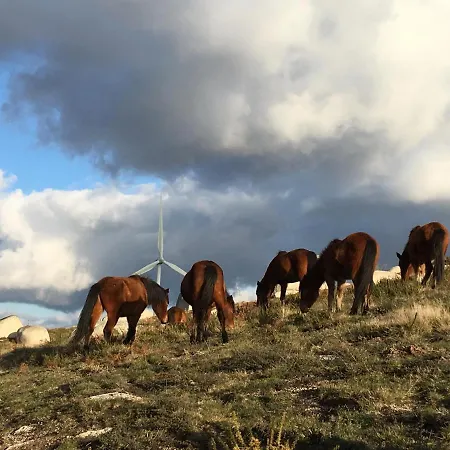 Séjour chez l'habitant Quinta Da Quinta, Private *