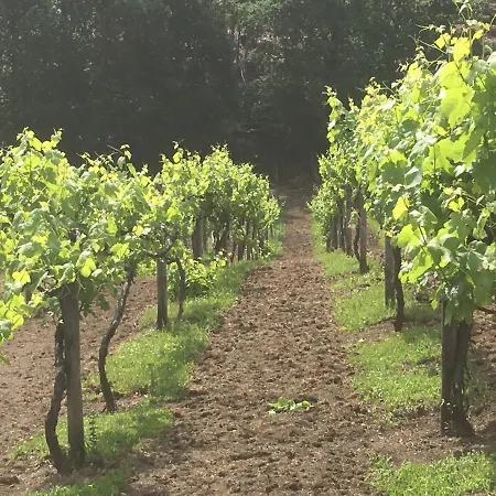 Séjour chez l'habitant Quinta Da Quinta, Private Vieira do Minho