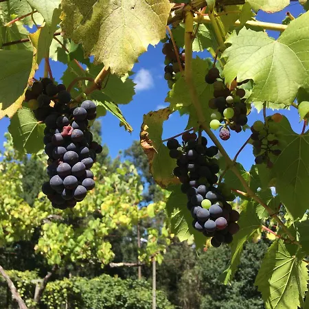 Quinta Da Quinta, Private Séjour chez l'habitant