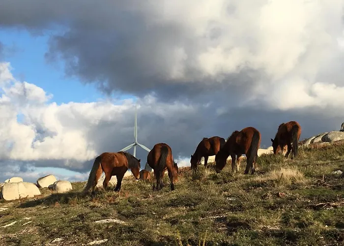 Privat bolig Quinta Da Quinta, Private *