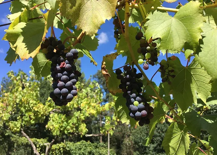 Quinta Da Quinta, Private Privat bolig